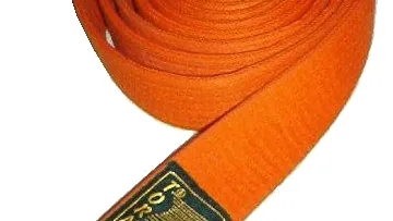 Martial arts belt