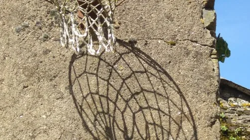 Netball hoop
