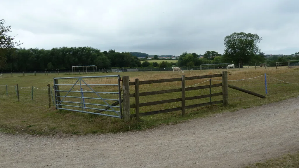 Alpaca paddock at Manor Farm Park & Woodlands, East Leake