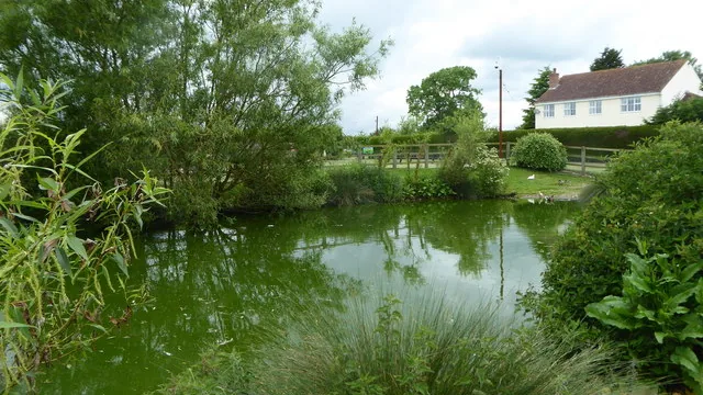 Pond at Rand Farm Park