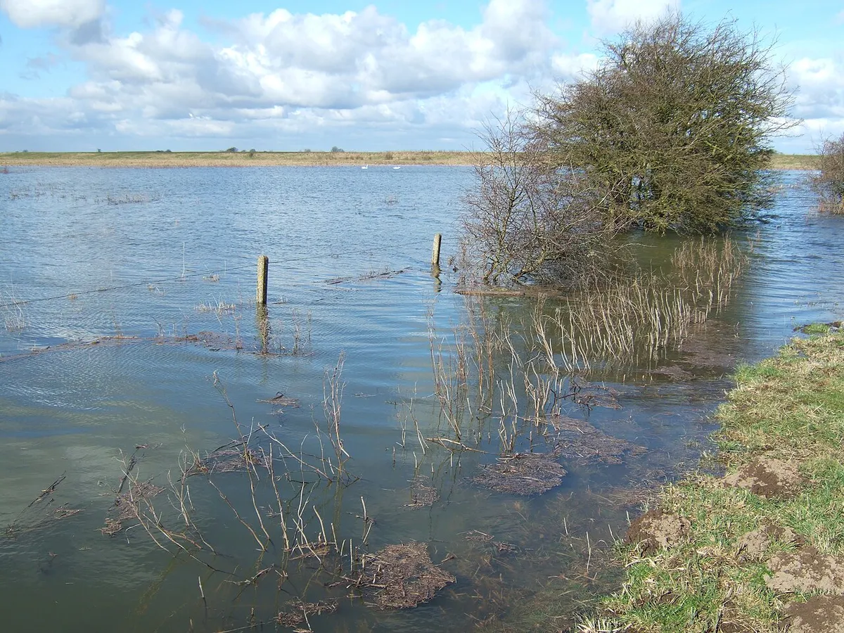 The Nene Washes at Guyhirn Wash