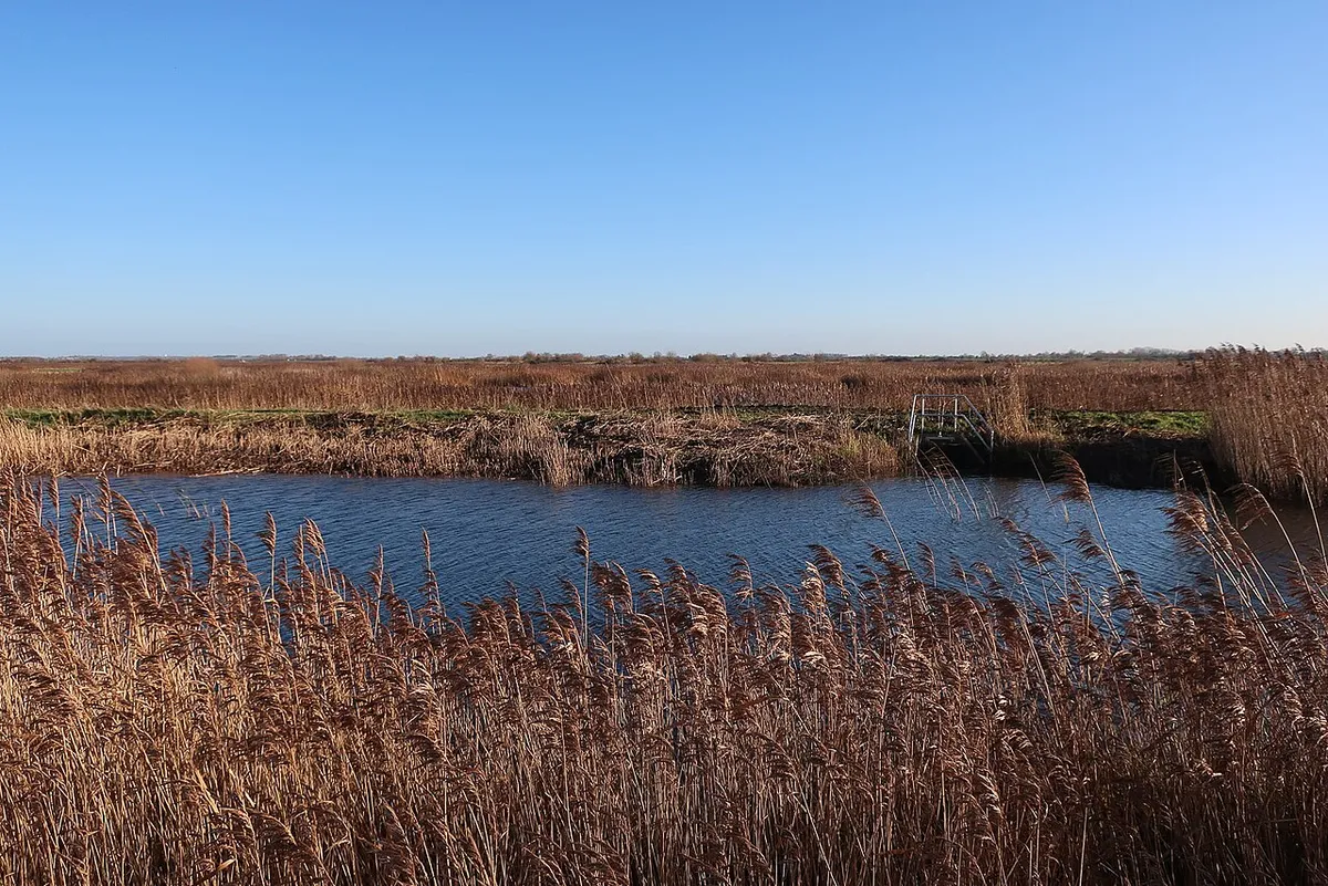 RSPB Ouse Fen